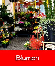 blumen